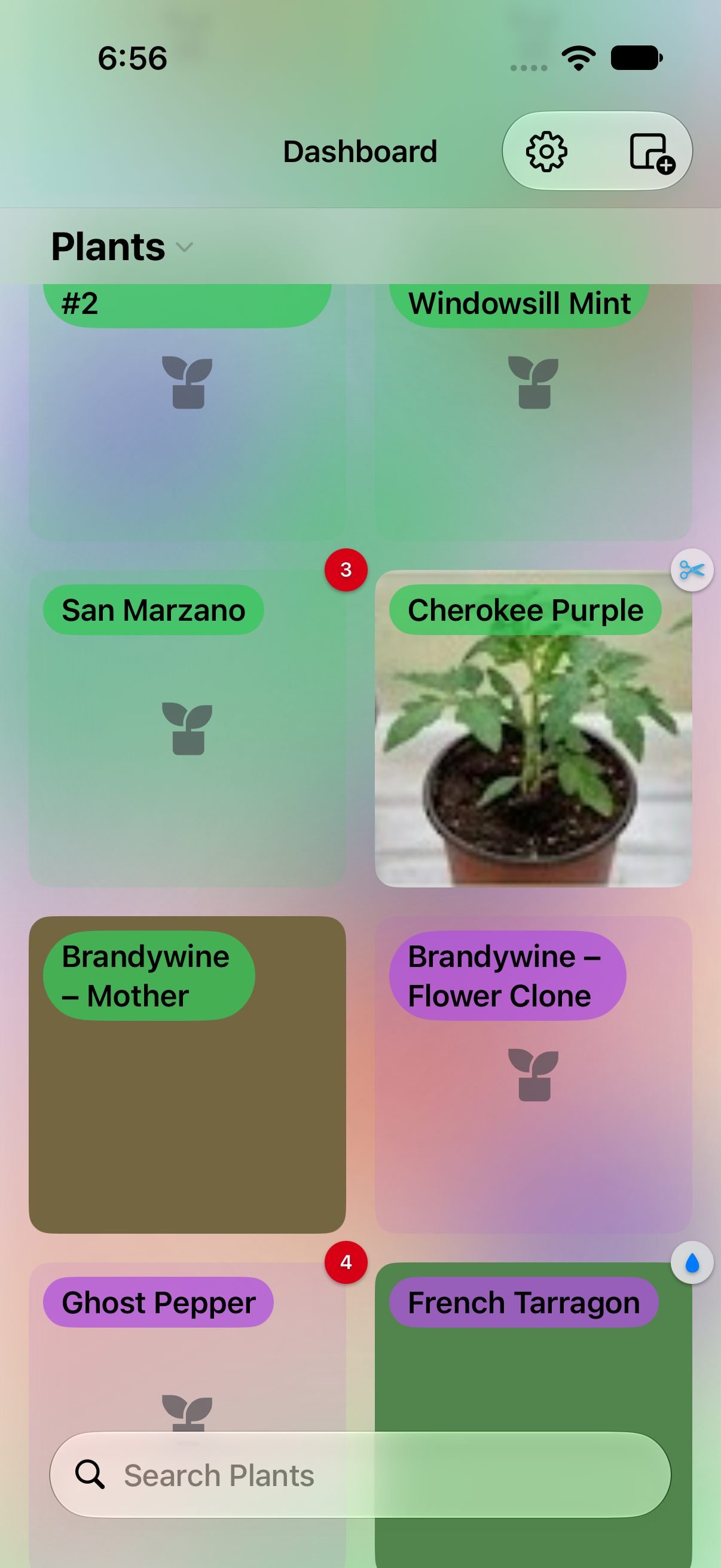 Dashboard's Tasks section, grouping missed and due-today tasks