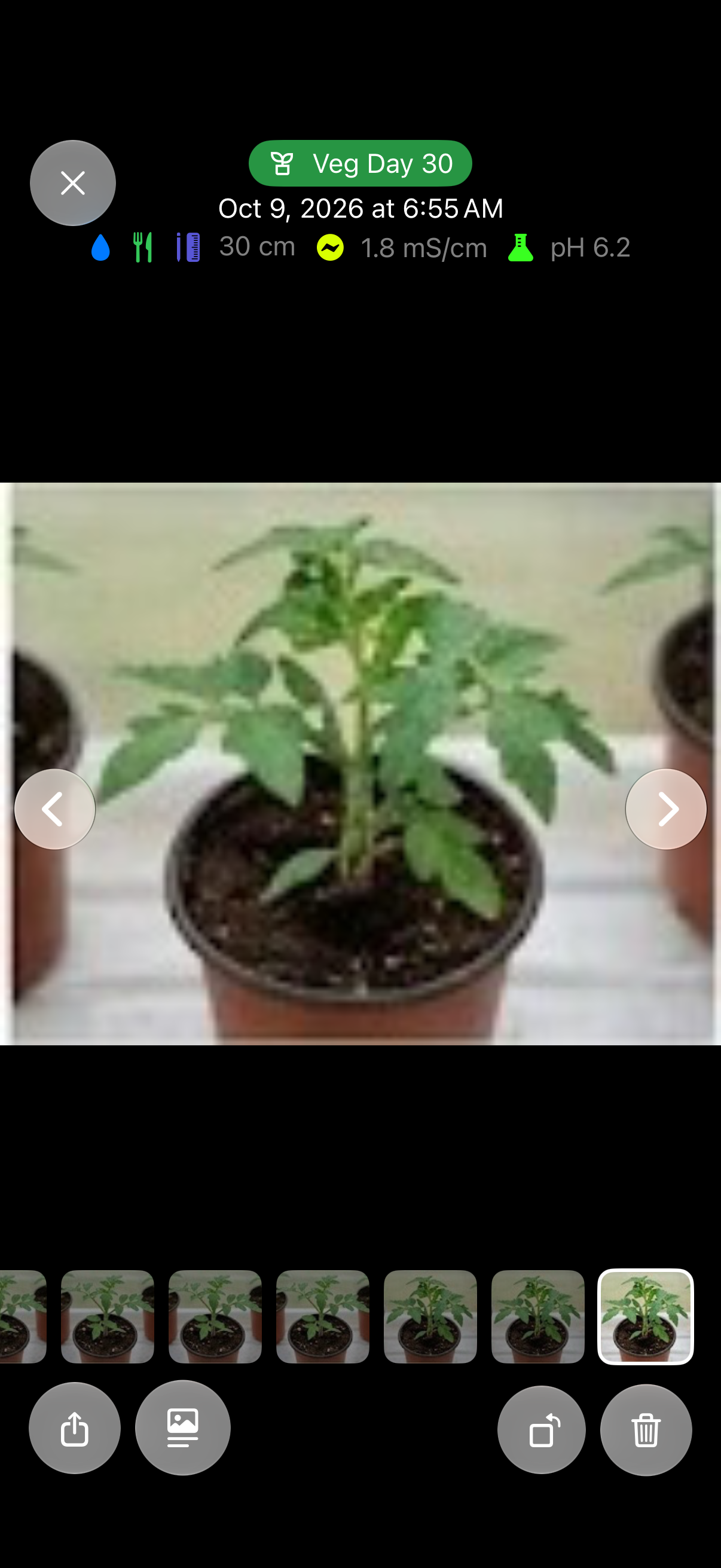 Full-screen photo viewer with the Share button and the name/growth-stage badge toggle