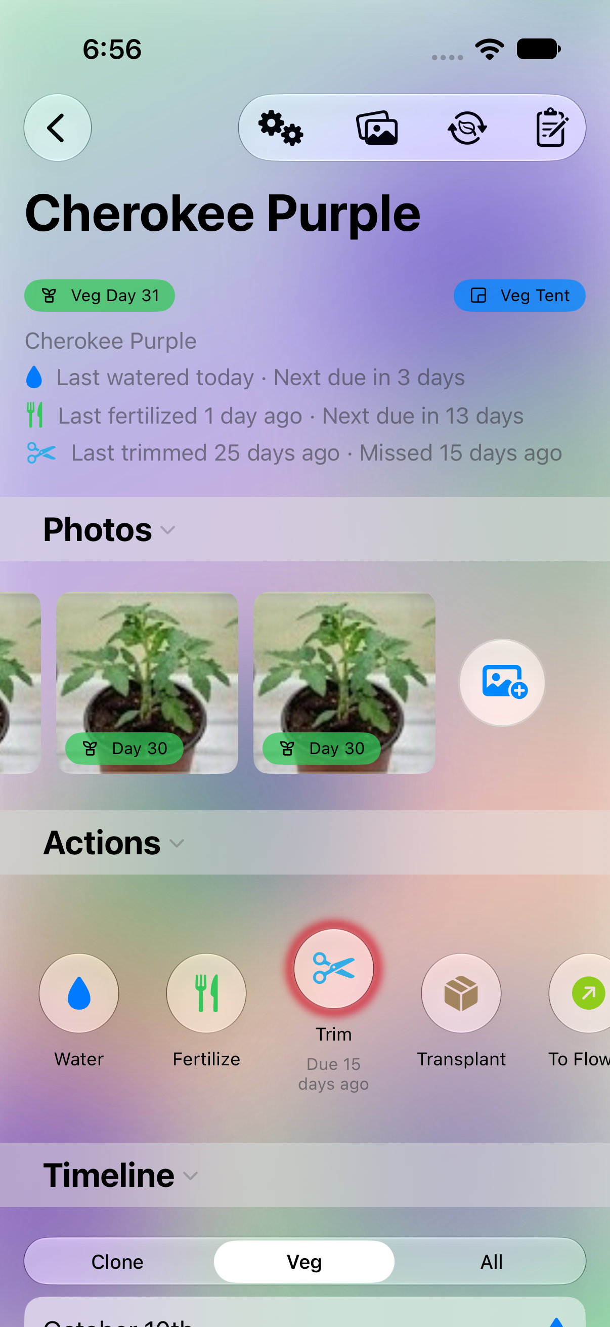 Plant detail screen's Actions section with one-tap quick-action chips