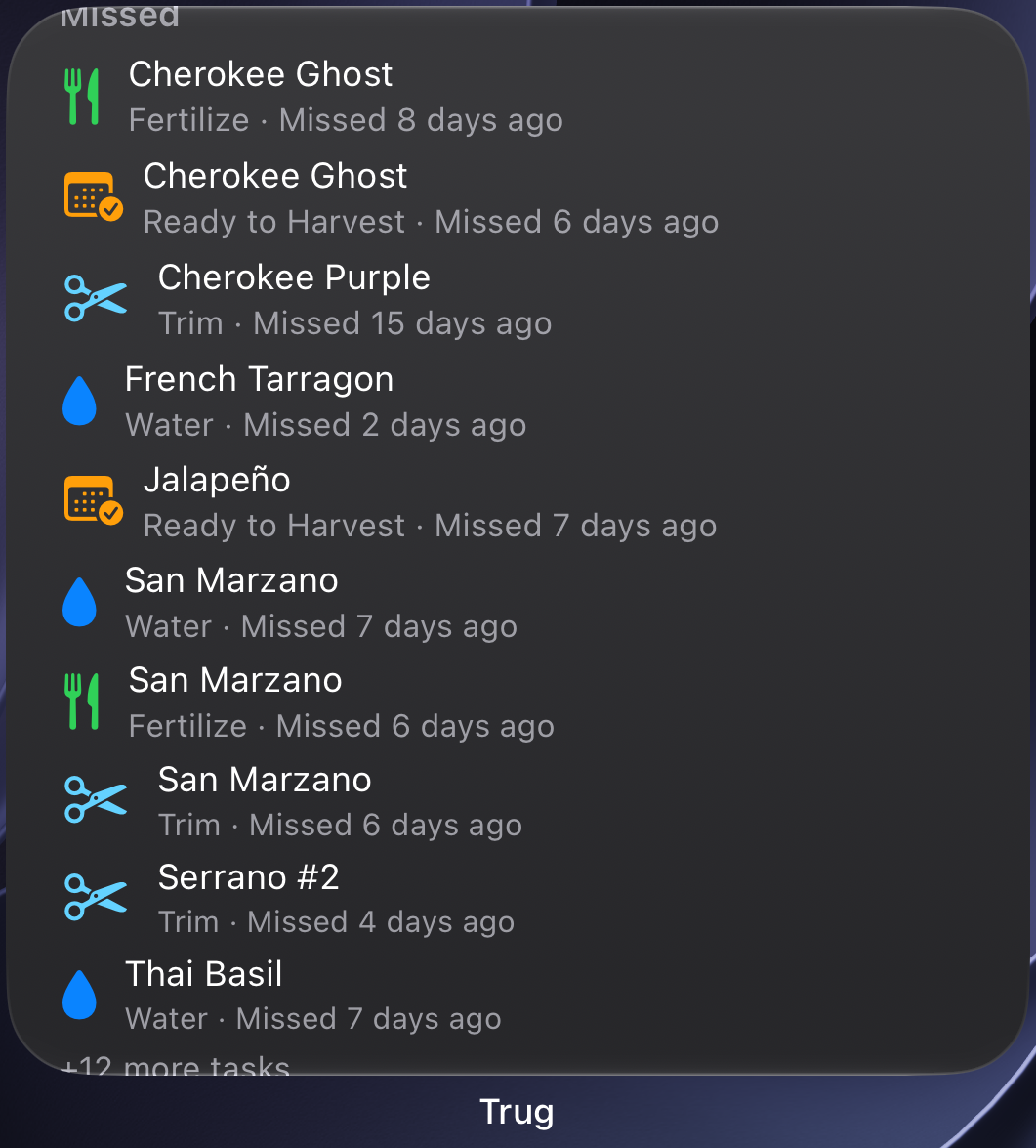 Large Home Screen widget showing a longer list of your most pressing tasks