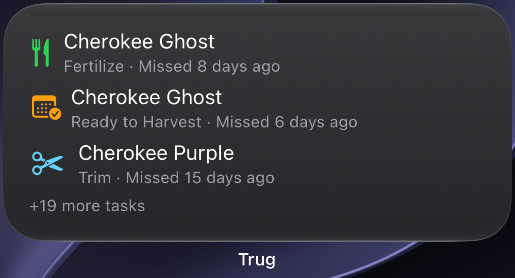 Medium Home Screen widget showing several of your most pressing tasks