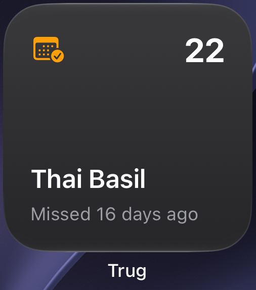 Small Home Screen widget showing the single most pressing task